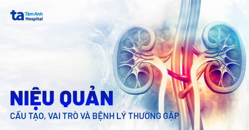 Hinh anh mot mieng com niêu chay duoc boc ra khoi day niêu